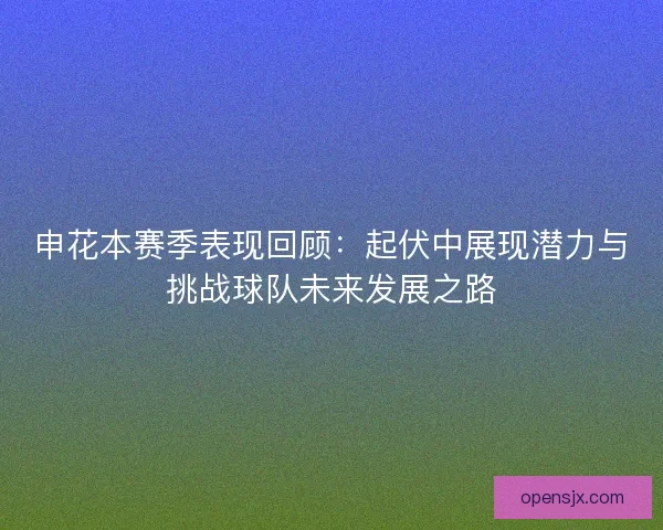 申花本赛季表现回顾：起伏中展现潜力与挑战球队未来发展之路