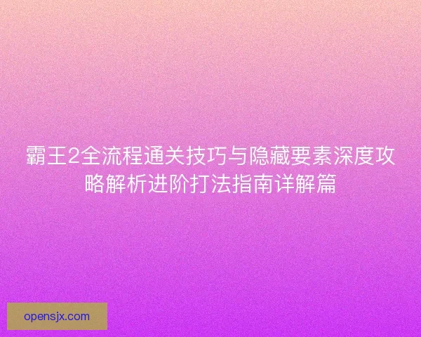 霸王2全流程通关技巧与隐藏要素深度攻略解析进阶打法指南详解篇
