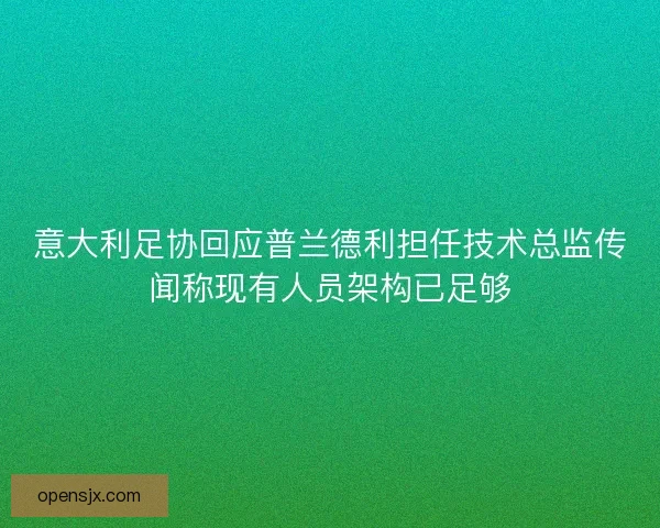 意大利足协回应普兰德利担任技术总监传闻称现有人员架构已足够