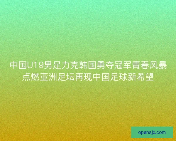 中国U19男足力克韩国勇夺冠军青春风暴点燃亚洲足坛再现中国足球新希望